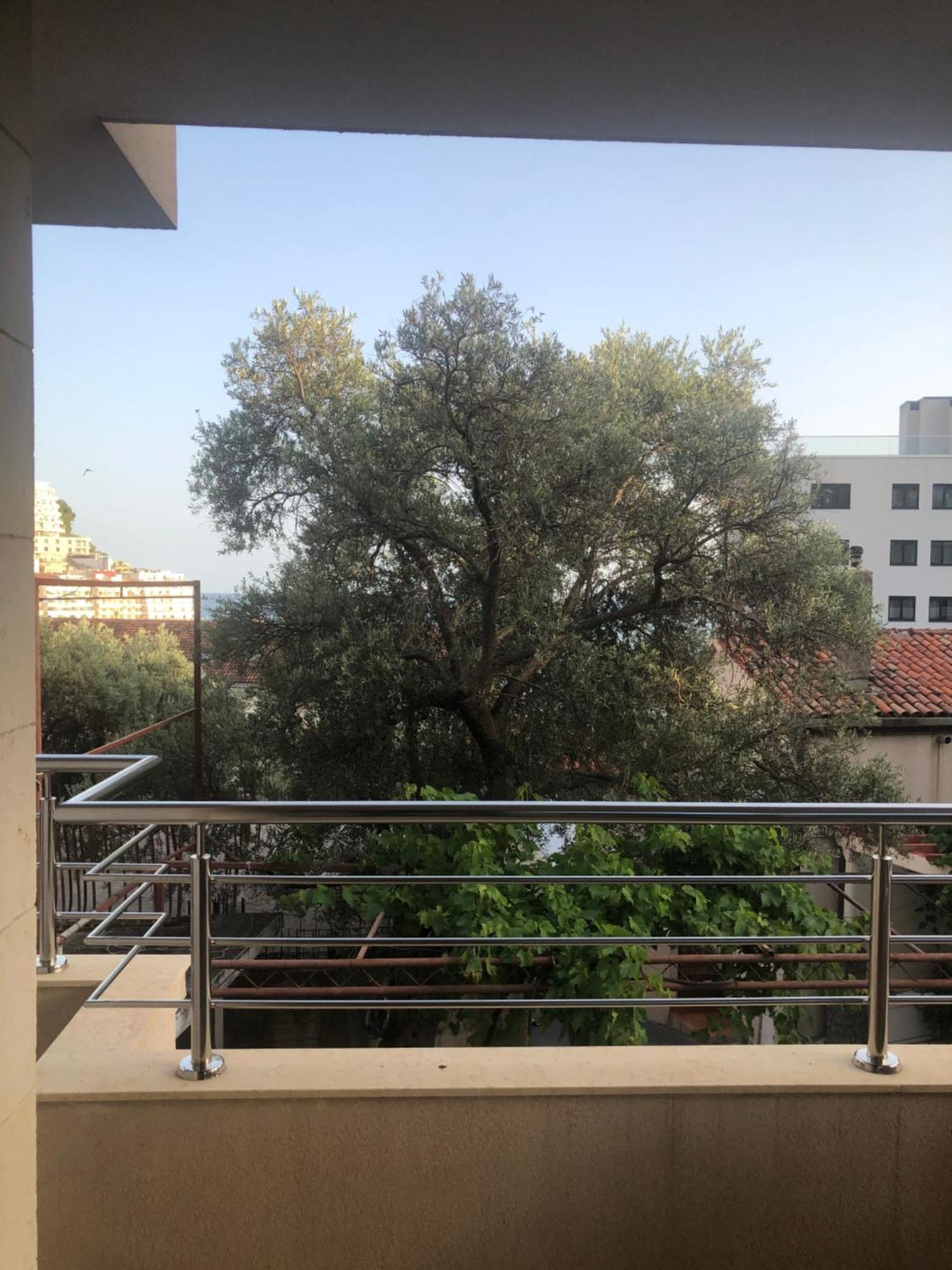 רפאלוביץ' Apartments Rafailovic Ljubo מראה חיצוני תמונה
